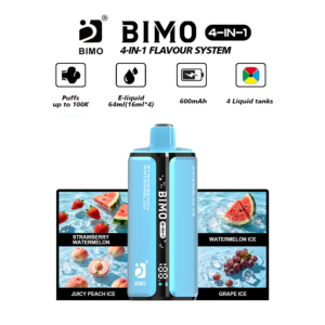 BIMO 4IN1 10K Puffs