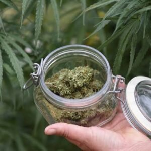 CBD Flowers