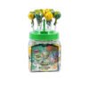 Euphoria Cannabis Energy + Maxi Lollipops 25g x 60pcs (Approx)
